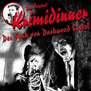Der Spuk von Darkwood Castle